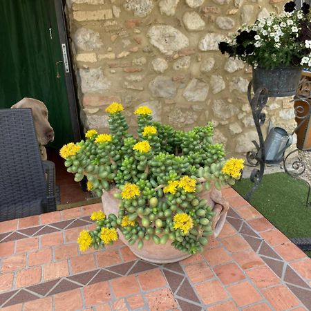Casa Gavenniae Bed and Breakfast Nocciano Εξωτερικό φωτογραφία