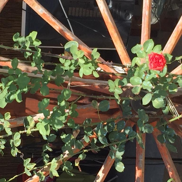 Casa Gavenniae Bed and Breakfast Nocciano Εξωτερικό φωτογραφία